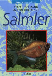 Salmler Peter Hoffmann und Martin Hoffmann