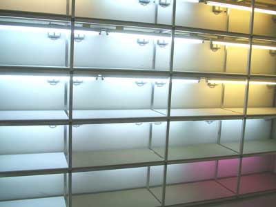 Gestell ohne Aquarien einen Tag spter